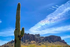 Superstition Saguaro Pride